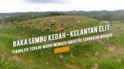 Baka Lembu Kedah - Kelantan Elit